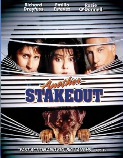 Картинка Фильмы Слежка 2: Снова в засаде / Another Stakeout (1993) BDRip
