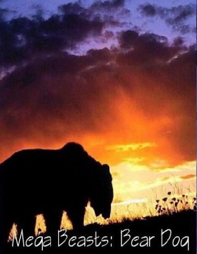 Картинка Фильмы Discovery: Гигантские чудовища: Собака-медведь / Mega Beasts: Bear Dog (2009) HDTVRip